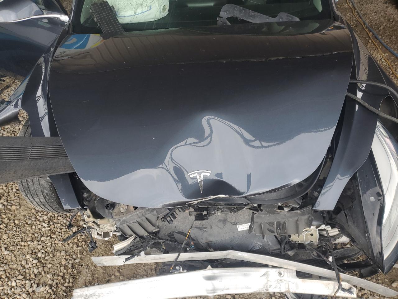 2019 Tesla Model 3 VIN: 5YJ3E1EA7KF428531 Lot: 68396685