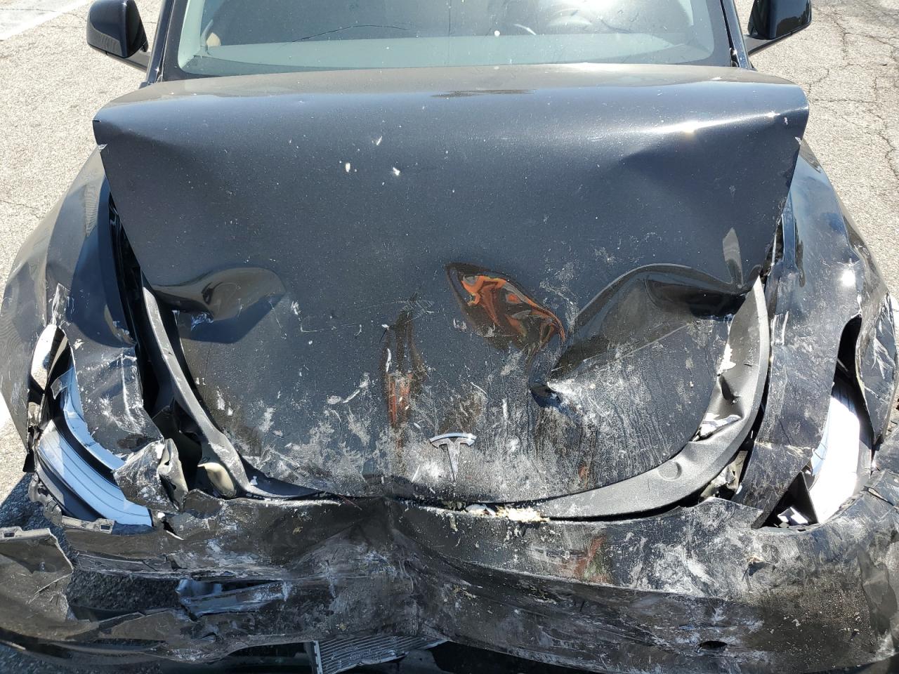 2023 Tesla Model Y VIN: 7SAYGDEE2PA125832 Lot: 67324985