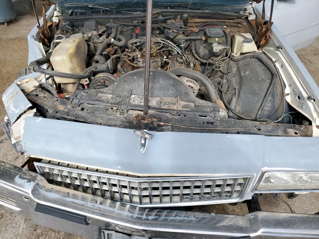 1989 Chevrolet Caprice VIN: 1G1BL5170KR159102 Lot: 69483645