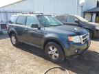 2009 FORD ESCAPE XLT   à vendre chez Copart ON - TORONTO