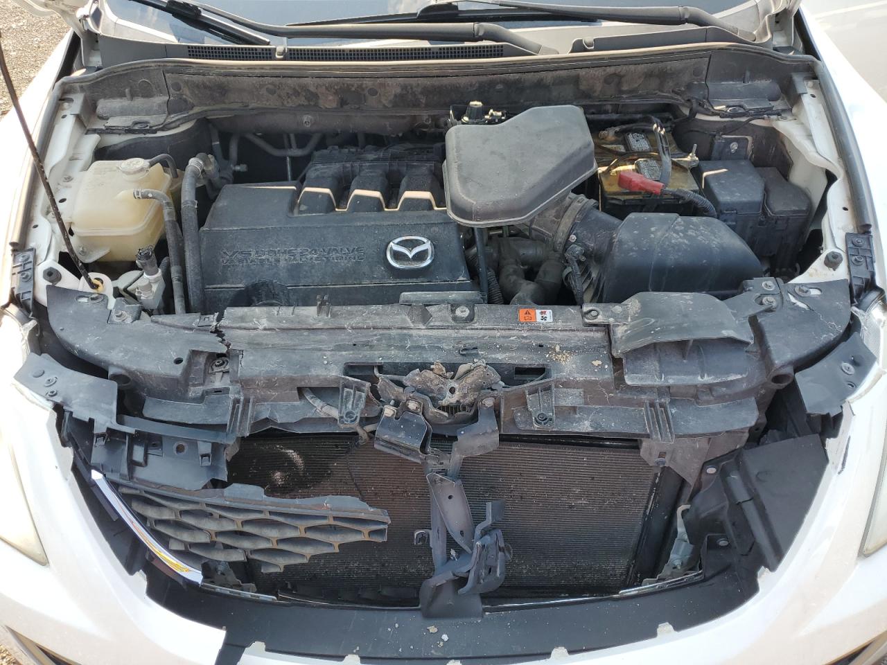 2010 Mazda Cx-9 VIN: JM3TB3MA3A0203968 Lot: 67696345