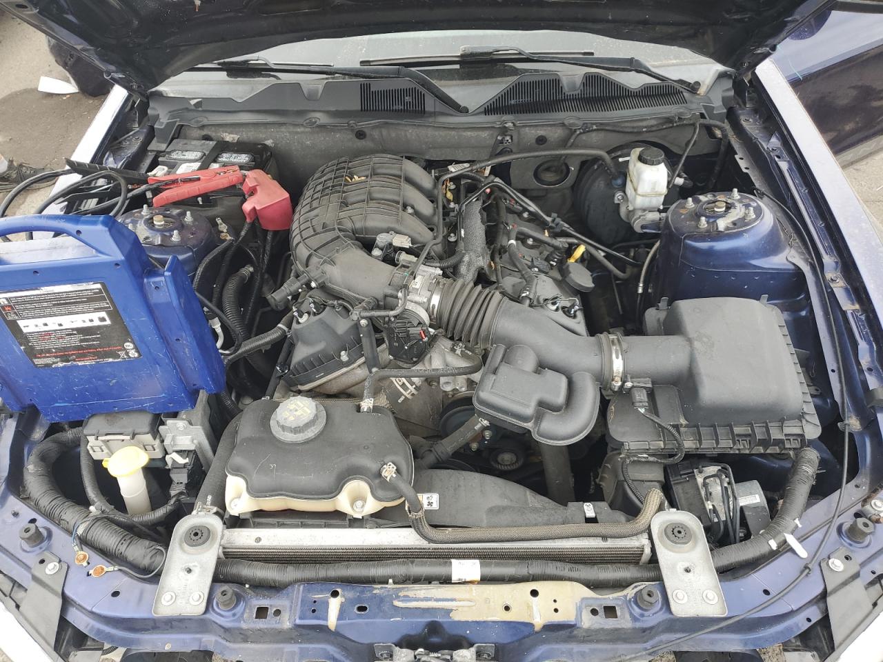 2012 Ford Mustang VIN: 1ZVBP8AM0C5271603 Lot: 68674985