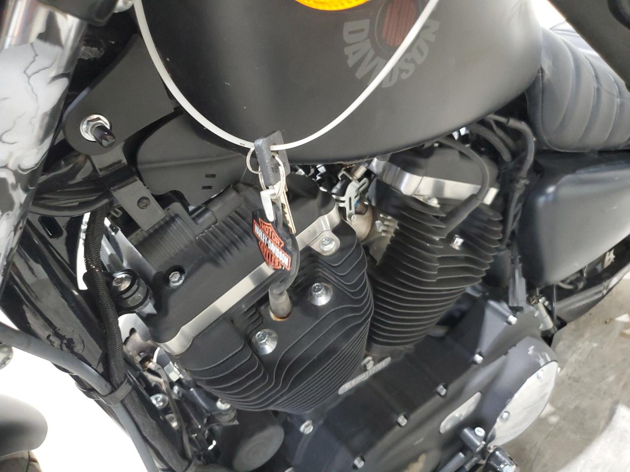 2022 Harley-Davidson Xl883 N VIN: 1HD4LE218NB411278 Lot: 69561045