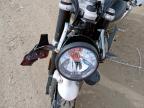 2022 TRIUMPH SPEED TWIN  for sale at Copart PETERLEE