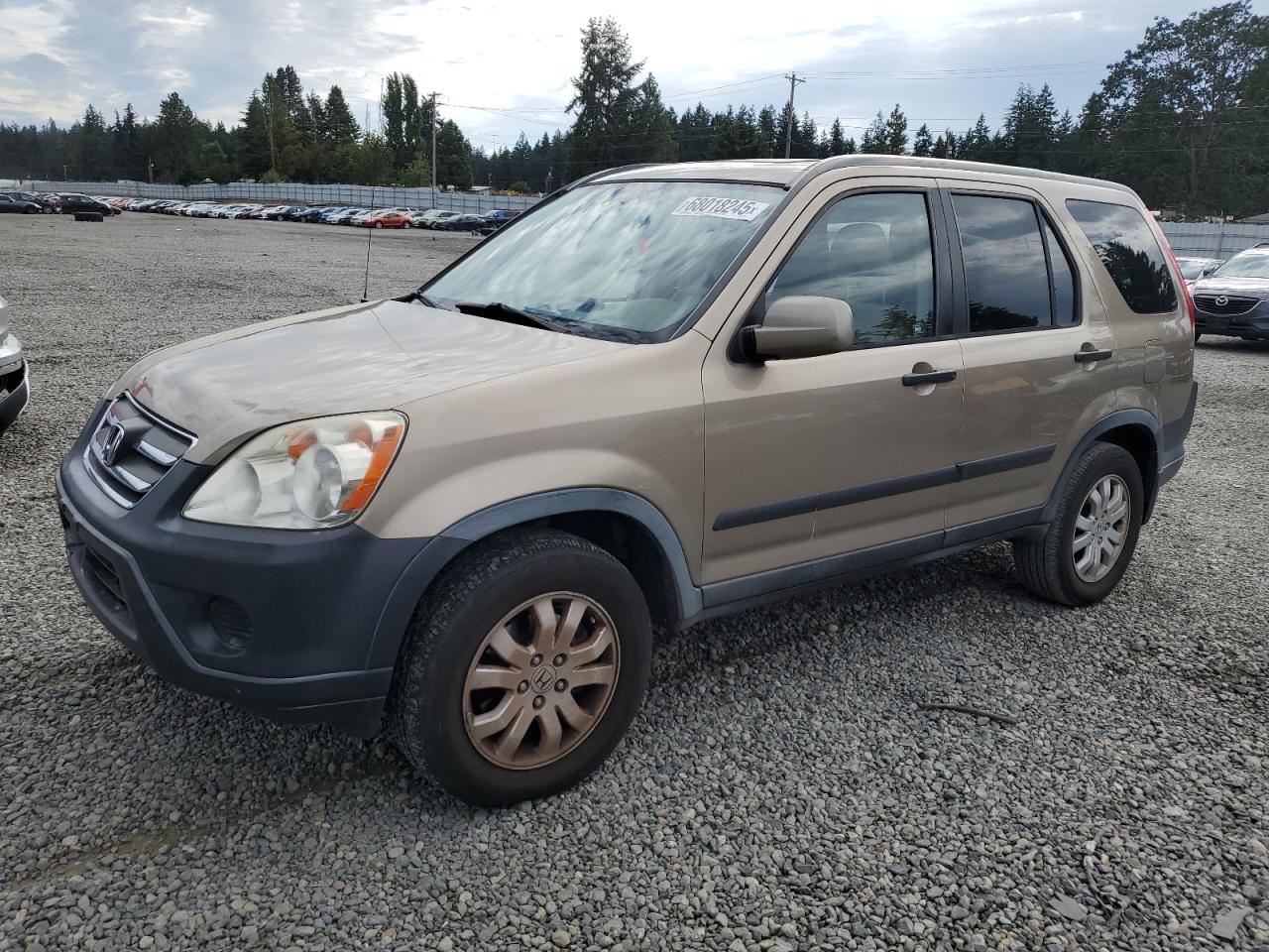 2005 Honda Cr-V Ex cream null gas JHLRD78845C021392 photo #1