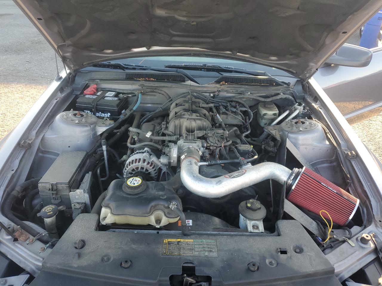 2006 Ford Mustang VIN: 1ZVFT80NX65131568 Lot: 70230575