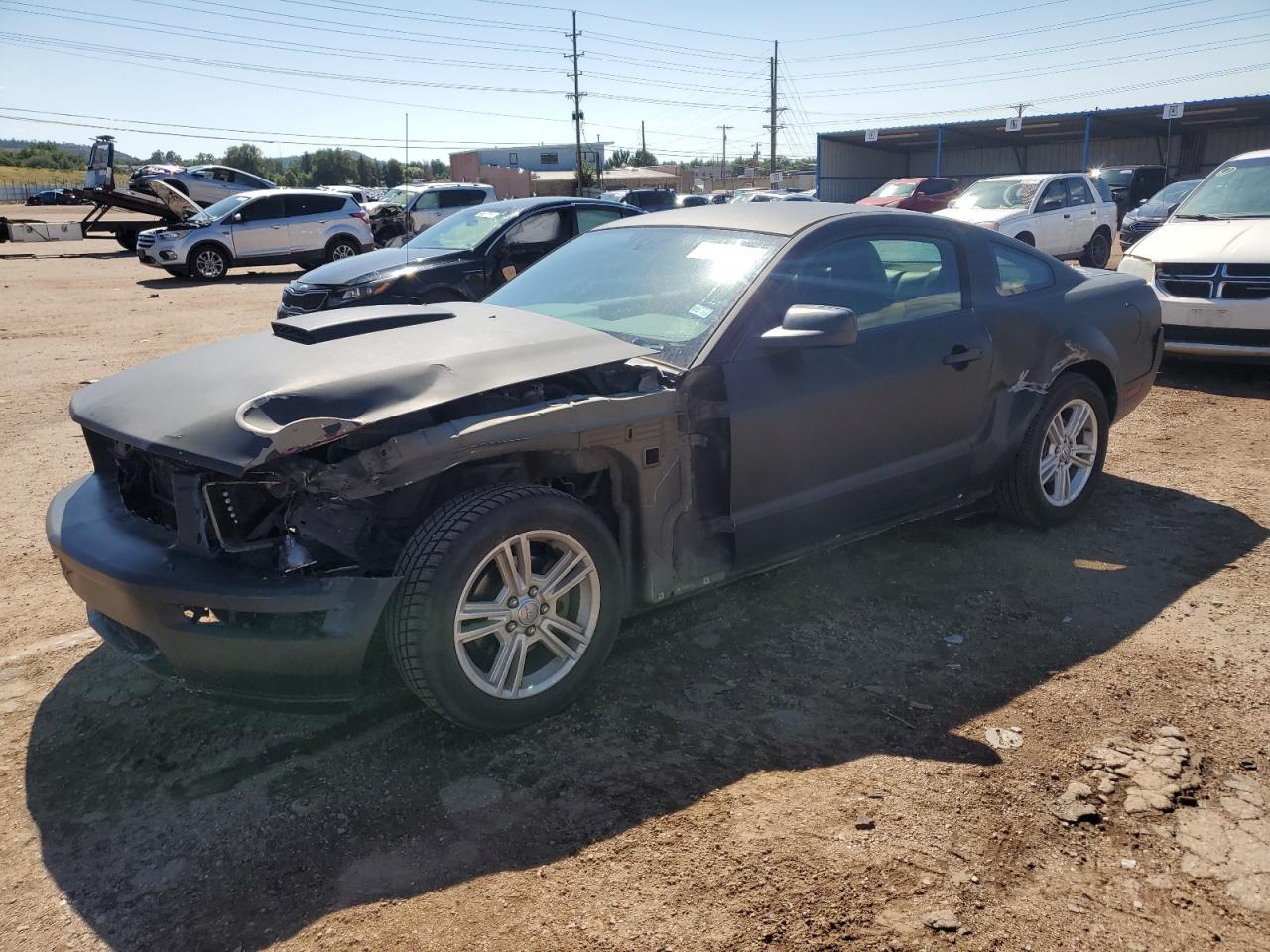 2009 Ford Mustang black null gas 1ZVHT80N995116430 photo #1