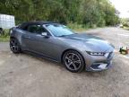 2025 FORD MUSTANG    for sale at Copart MA - NORTH BOSTON