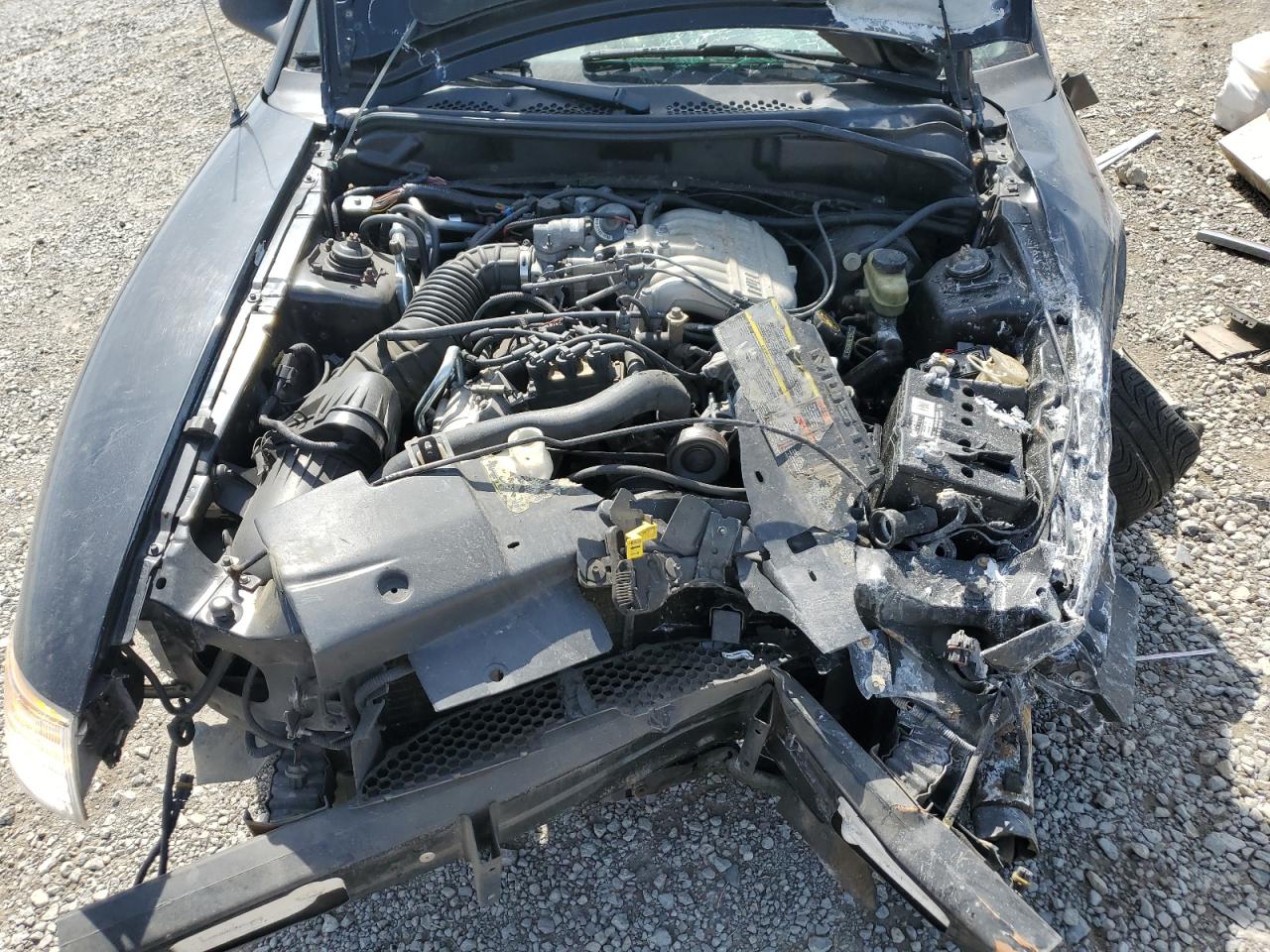 1996 Ford Mustang VIN: 1FALP4443TF128592 Lot: 70322605
