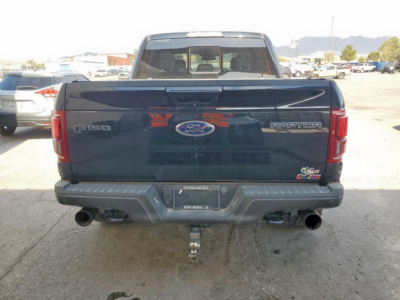 2017 Ford F150 Raptor VIN: 1FTFW1RGXHFB33114 Lot: 68137685