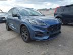 2023 FORD KUGA ST-LINE EDITION  for sale at Copart YORK