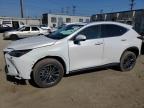 2025 LEXUS NX 250 BASE   à vendre chez Copart CA - LOS ANGELES