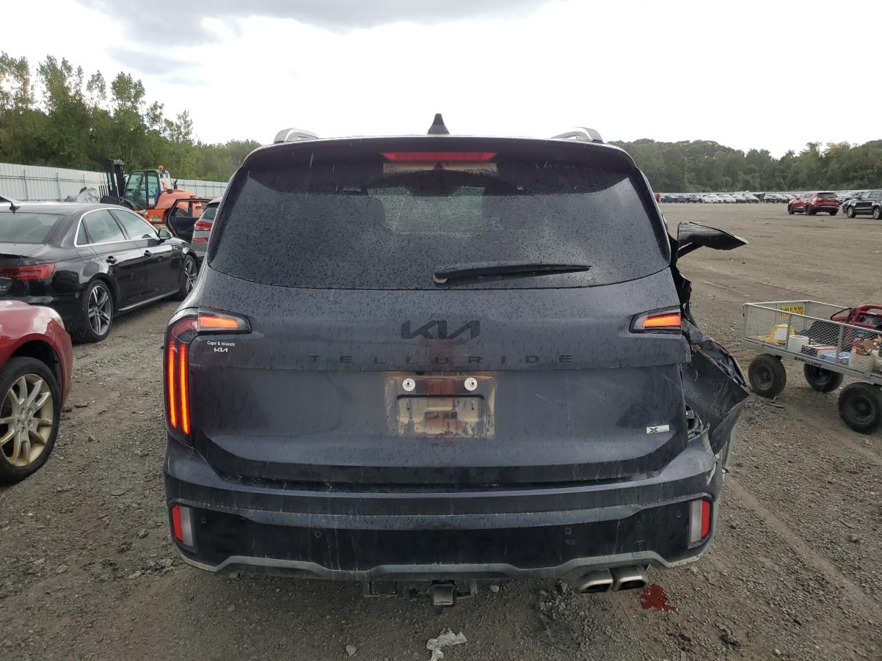 2025 Kia Telluride Ex VIN: 5XYP3DGC6SG634634 Lot: 70628225