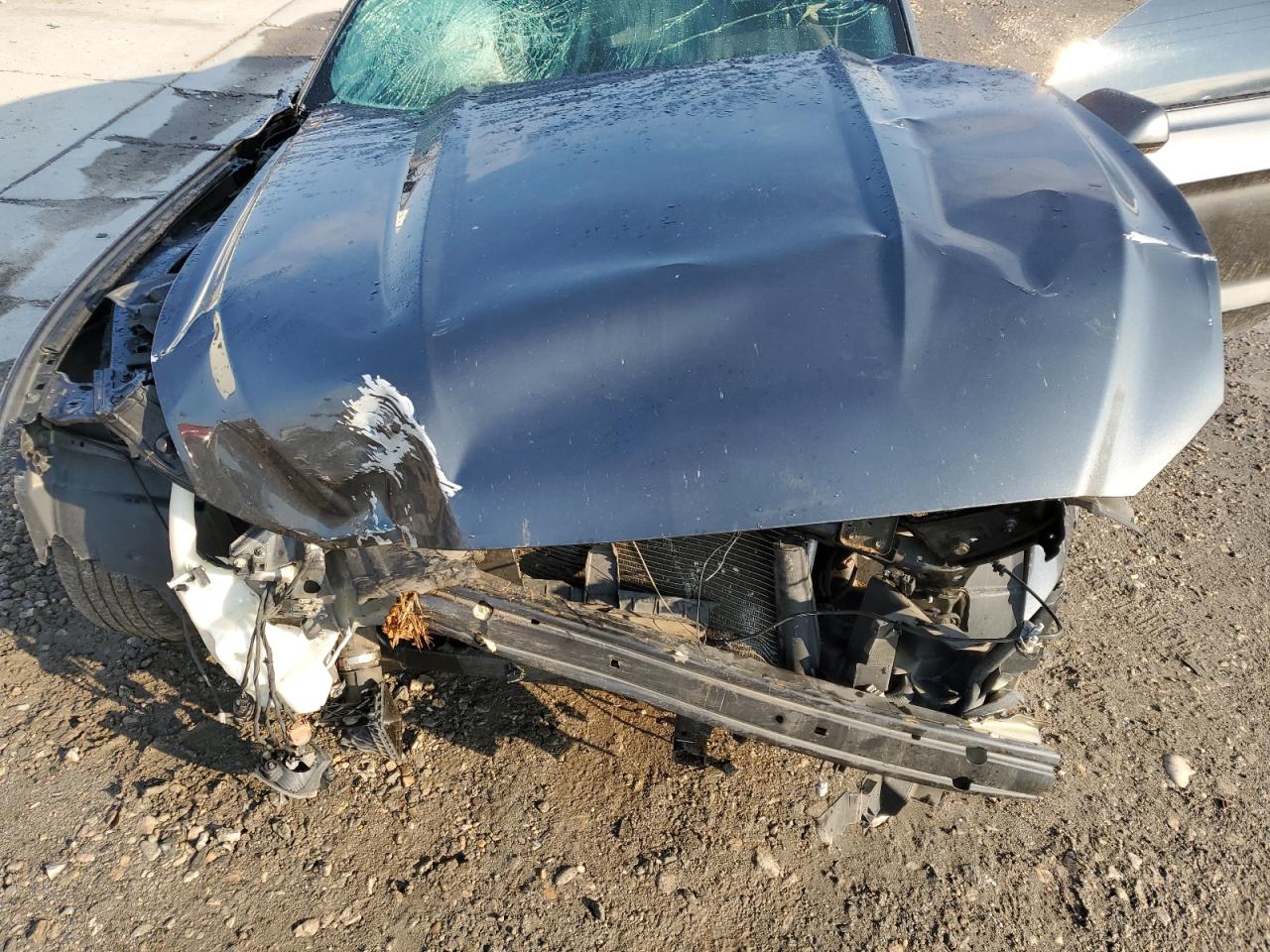 2017 Ford Mustang VIN: 1FA6P8TH7H5275701 Lot: 70929425