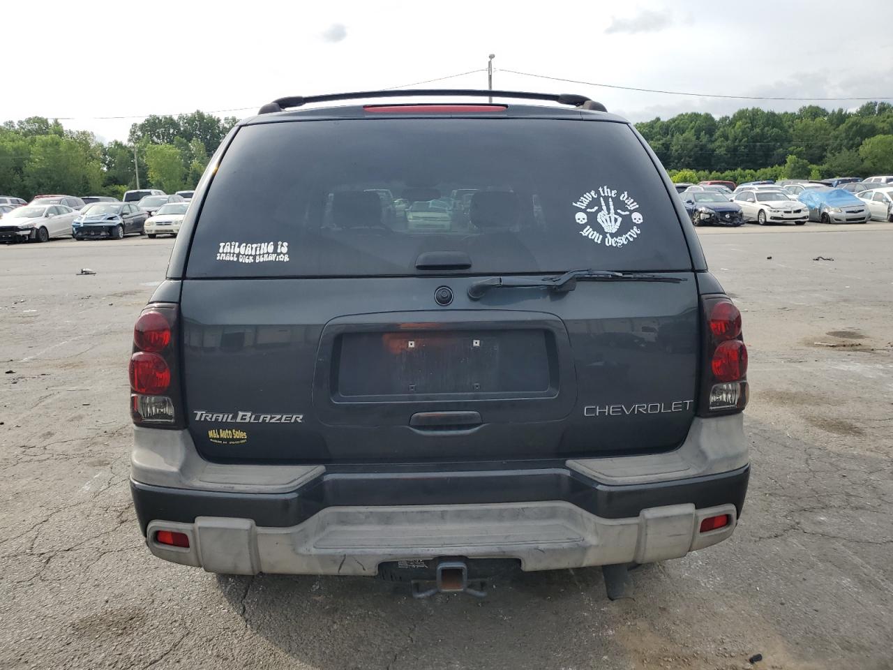 2003 Chevrolet Trailblazer VIN: 1GNDS13S332364458 Lot: 66801395