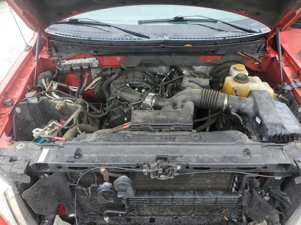 2014 Ford F150 Supercrew VIN: 1FTEW1CM1EKD47065 Lot: 67397915