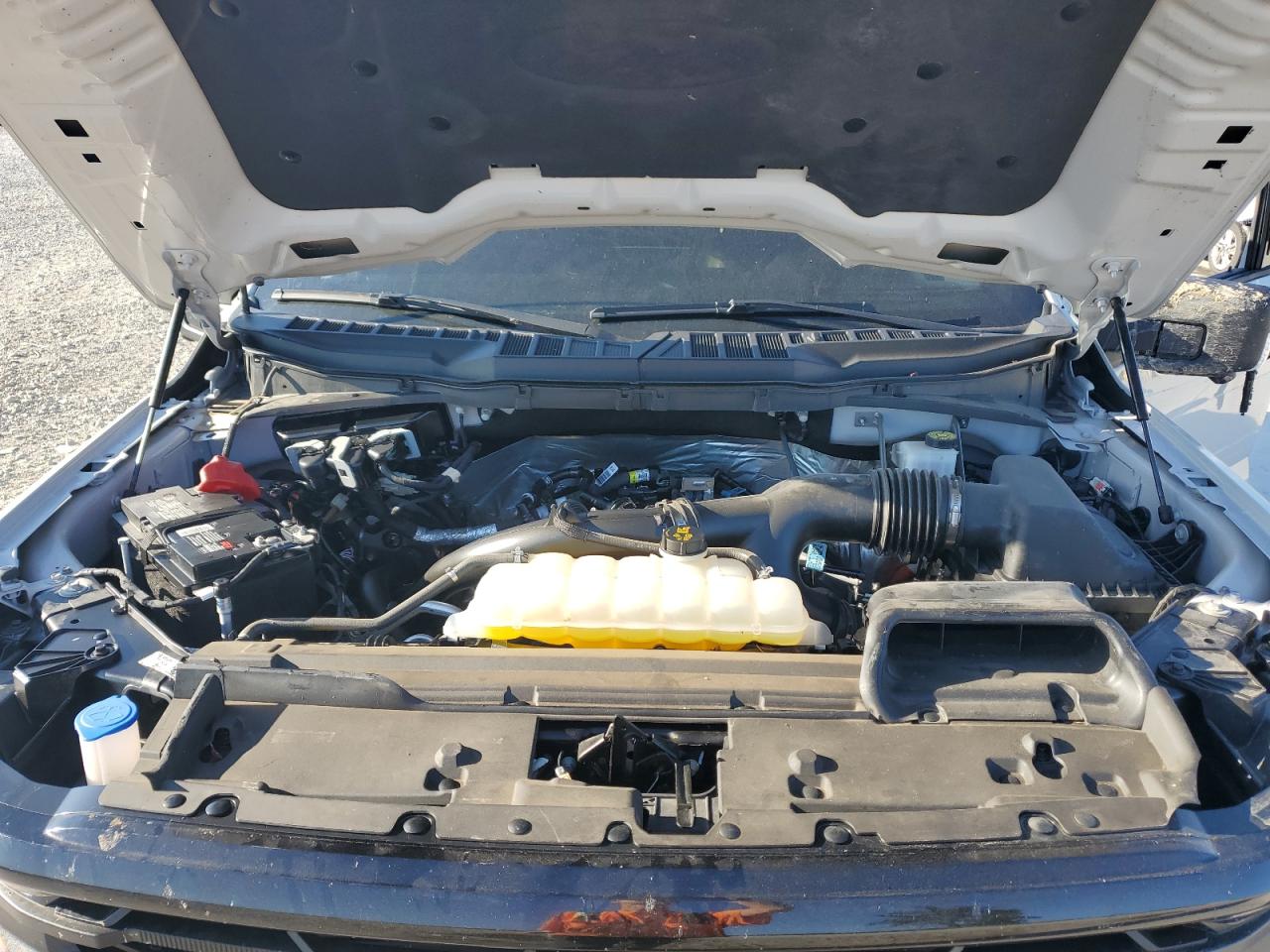 2024 Ford F150 Xlt VIN: 1FTEW3LP7RKD58826 Lot: 70468995