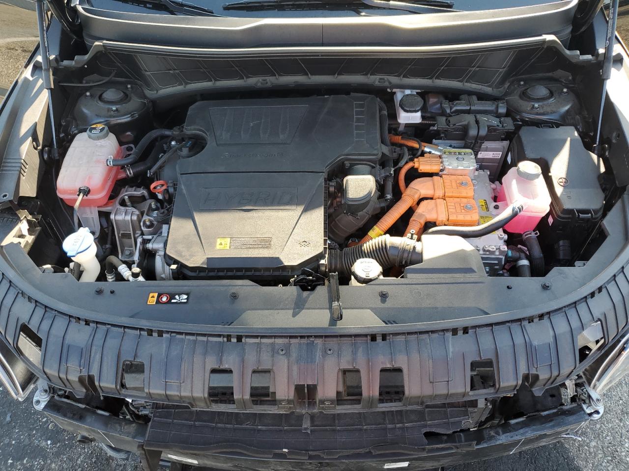 2023 Kia Niro Ex VIN: KNDCR3LE4P5108100 Lot: 71063325