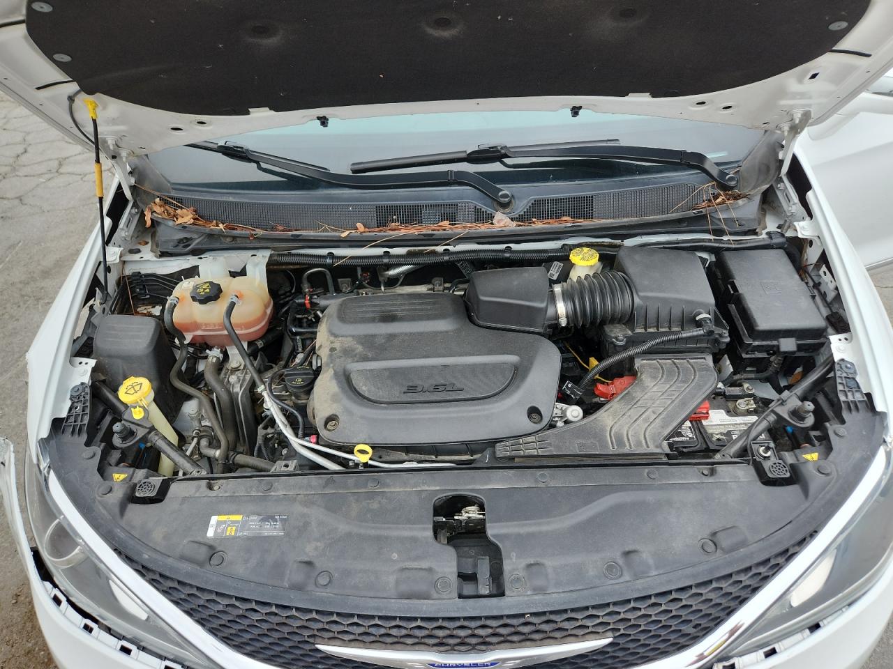 2020 Chrysler Pacifica Limited VIN: 2C4RC1GG4LR289501 Lot: 66690675