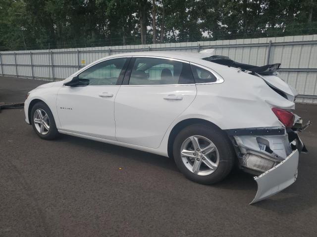  CHEVROLET MALIBU 2024 White
