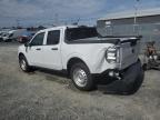 2025 FORD MAVERICK XL   for sale at Copart NS - HALIFAX