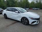 2024 HYUNDAI ELANTRA SEL   à vendre chez Copart ON - COOKSTOWN