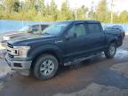 2019 FORD F150 SUPERCREW   for sale at Copart NB - MONCTON