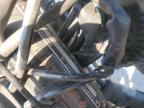 2021 MOTO GUZZI V7 STONE   for sale at Copart CA - VAN NUYS