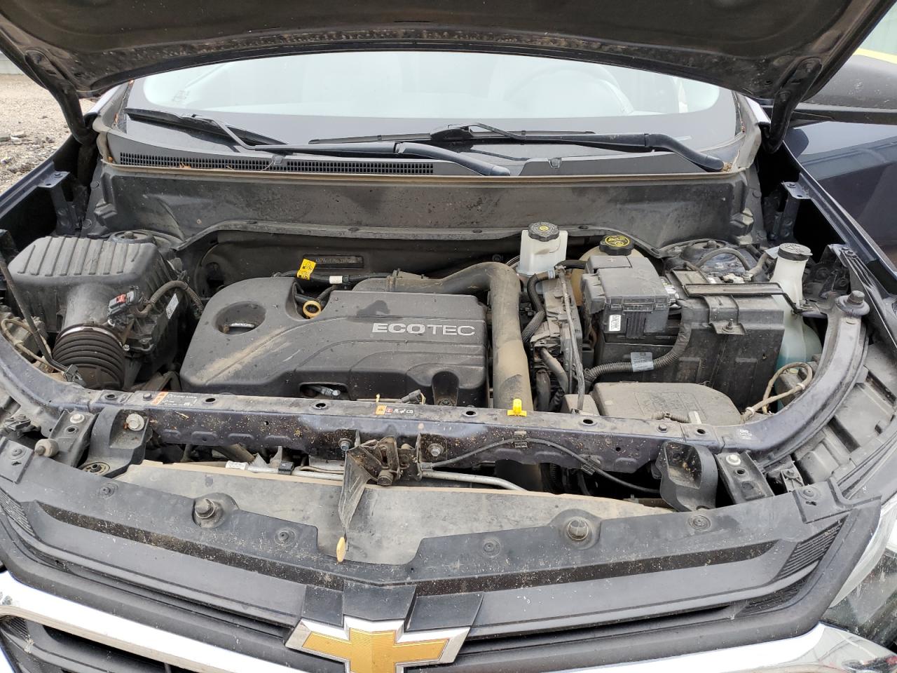 2019 Chevrolet Equinox Ls VIN: 3GNAXHEV6KL234935 Lot: 70204885