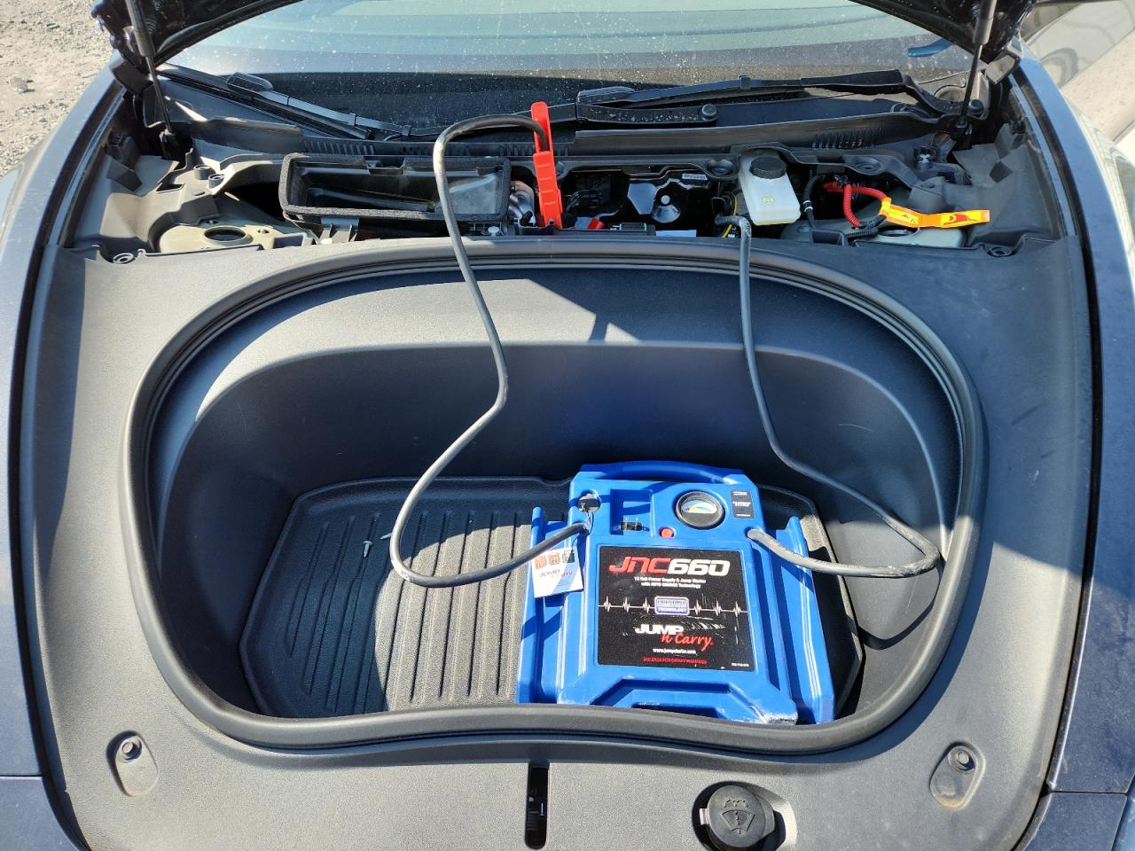 2025 Tesla Model 3 VIN: 5YJ3E1EA3SF999952 Lot: 93954355