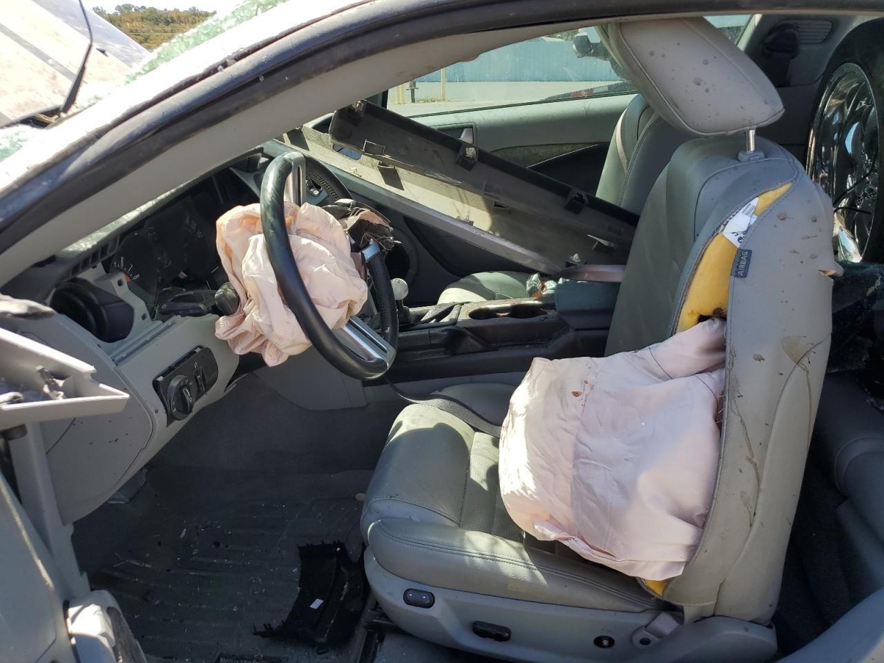 2006 Ford Mustang Gt VIN: 1ZVHT82H065188622 Lot: 69992435