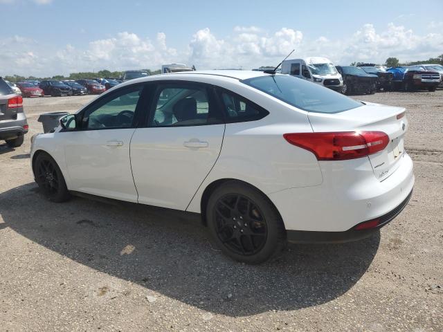  FORD FOCUS 2016 Белы