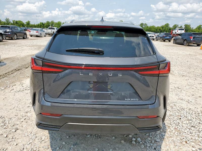  LEXUS NX 250 BAS 2025 Серый