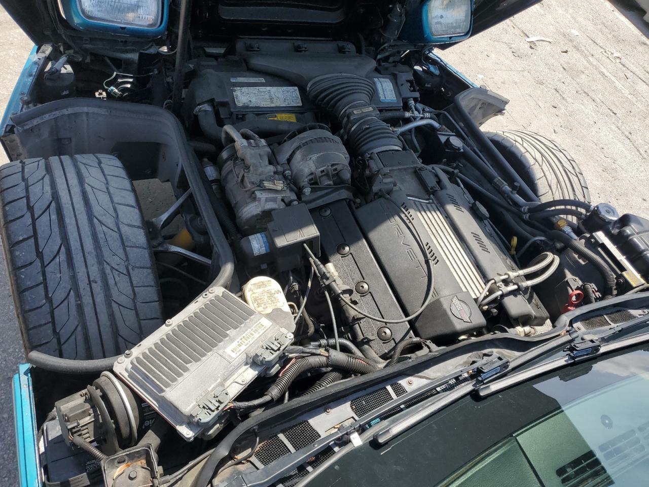 1996 Chevrolet Corvette VIN: 1G1YY22P4T5109000 Lot: 69701675