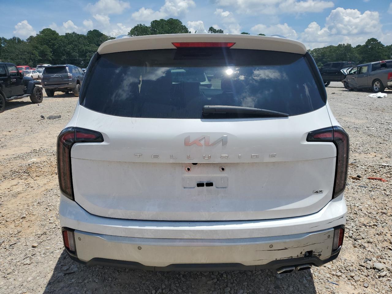 2024 Kia Telluride Ex VIN: 5XYP3DGC5RG491590 Lot: 67259165