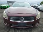 2010 NISSAN MAXIMA S à vendre chez Copart DC - WASHINGTON DC