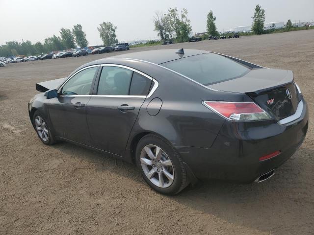 2013 ACURA TL   