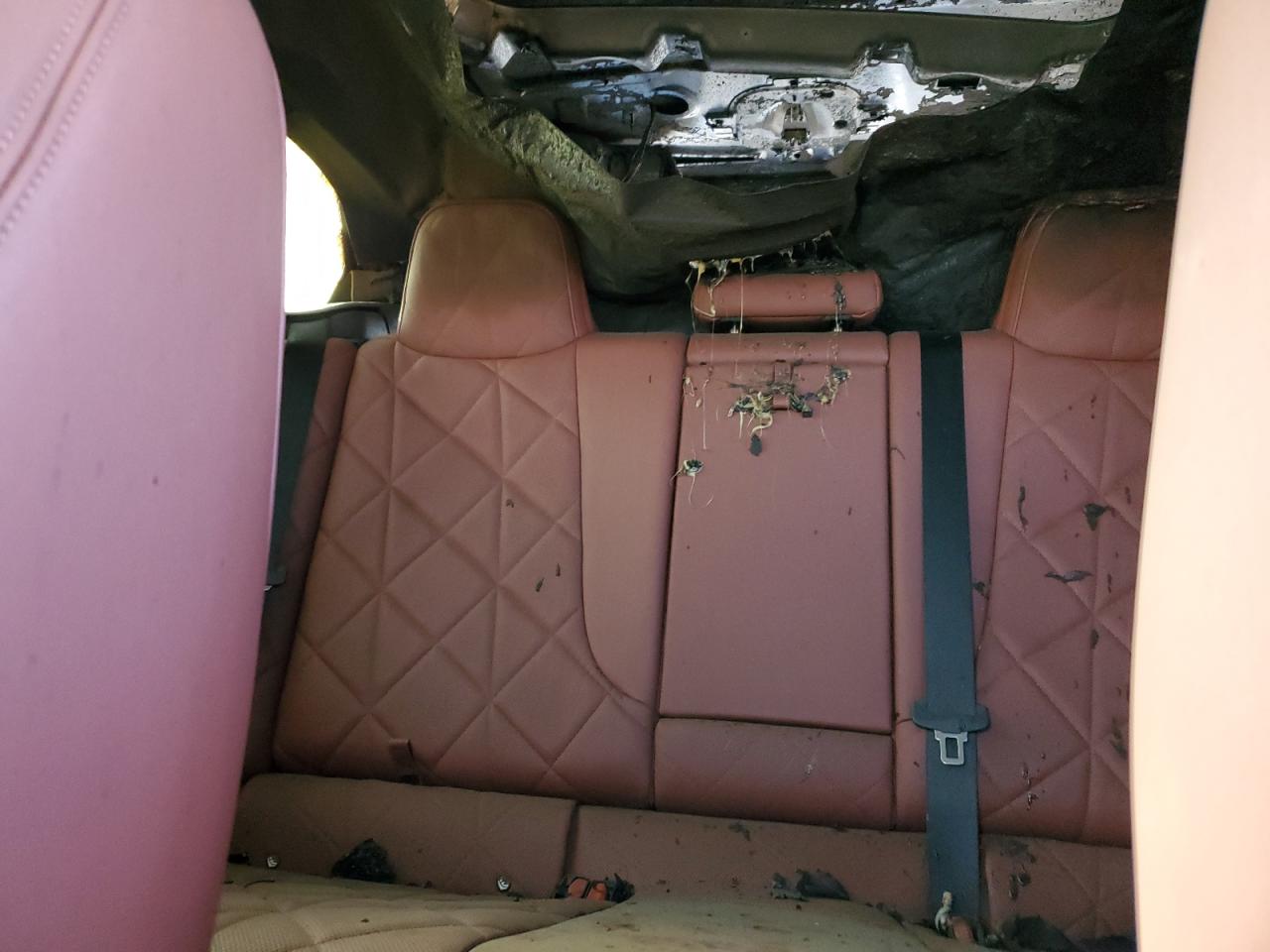 2025 BMW Ix xDrive50 VIN: WB523CF09SCT88013 Lot: 68136325