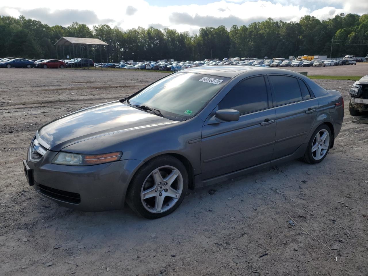 2006 Acura 3.2Tl grey null gas 19UUA66266A003130 photo #1