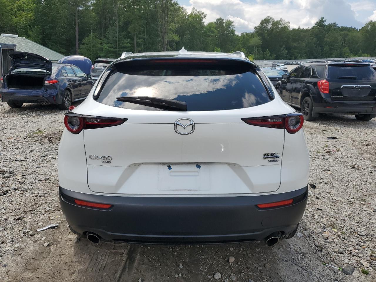 2023 Mazda Cx-30 Premium VIN: 3MVDMBDY6PM501160 Lot: 66601135