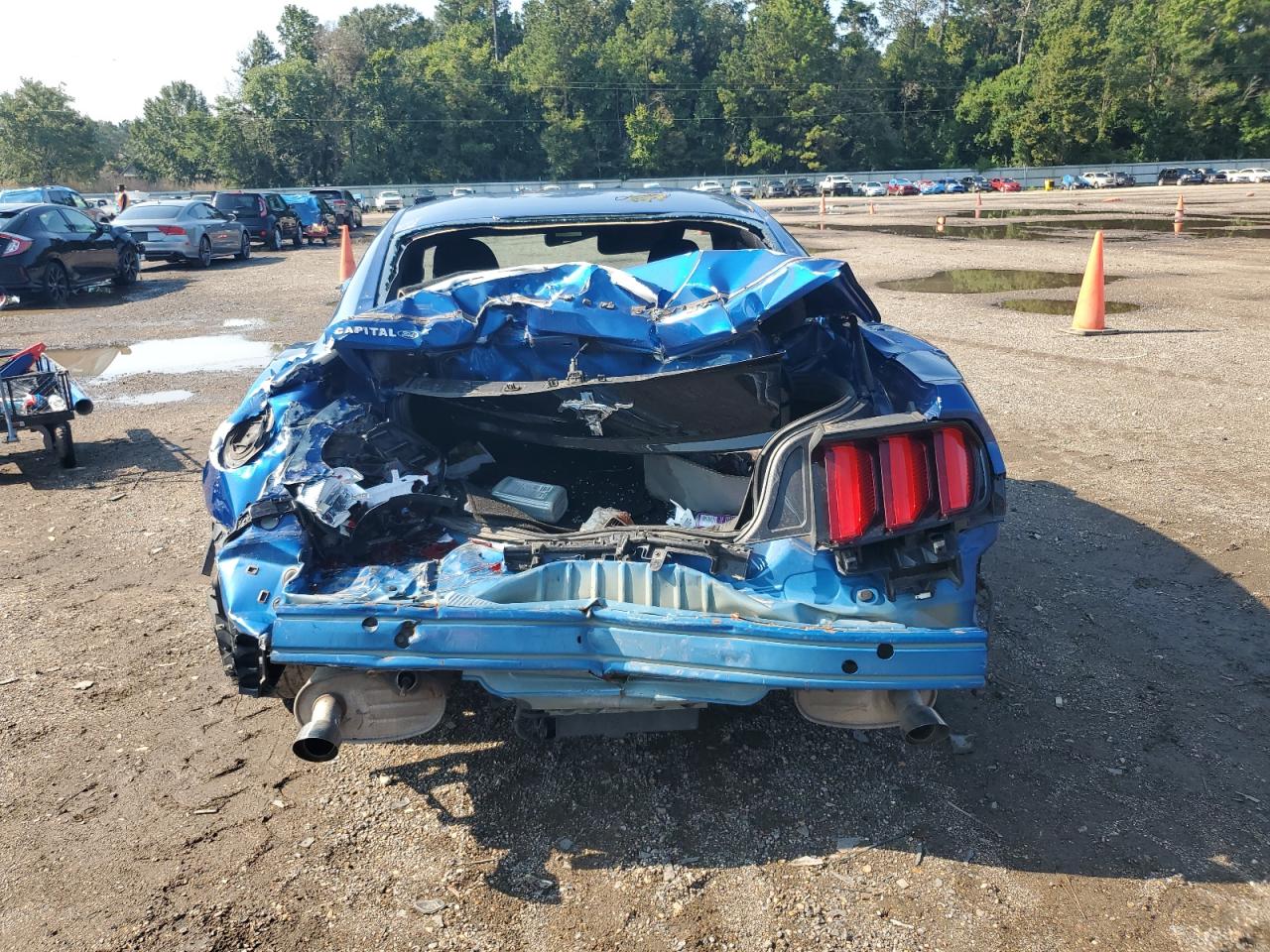 2017 Ford Mustang VIN: 1FA6P8AM6H5275527 Lot: 69347115