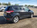 2013 FORD ESCAPE SE   à vendre chez Copart ON - TORONTO