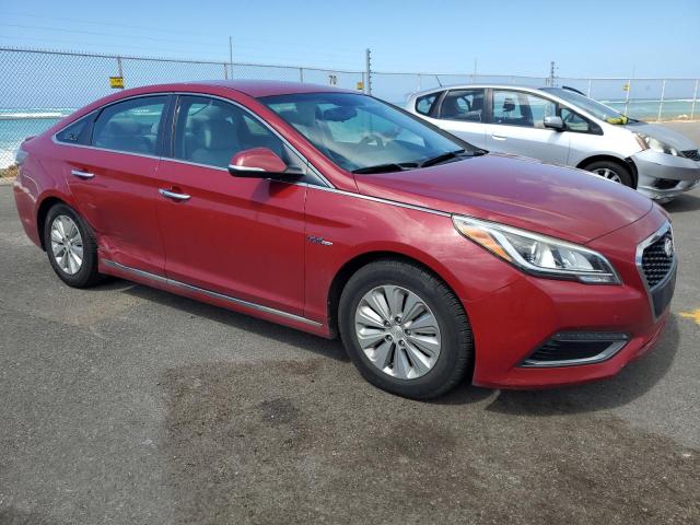  HYUNDAI SONATA 2016 Красный