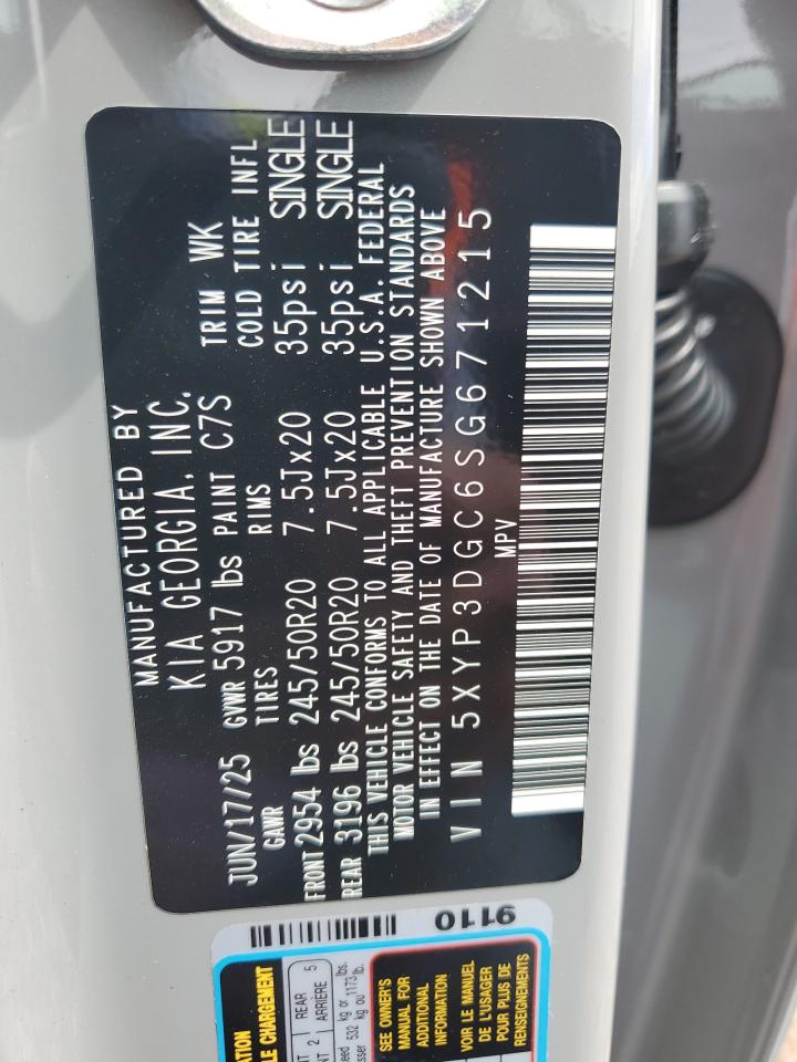 2025 Kia Telluride Ex VIN: 5XYP3DGC6SG671215 Lot: 69639635