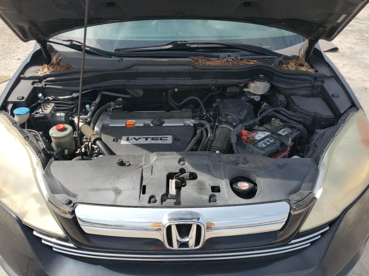 2008 Honda Cr-V Exl VIN: 5J6RE38798L003947 Lot: 70286145