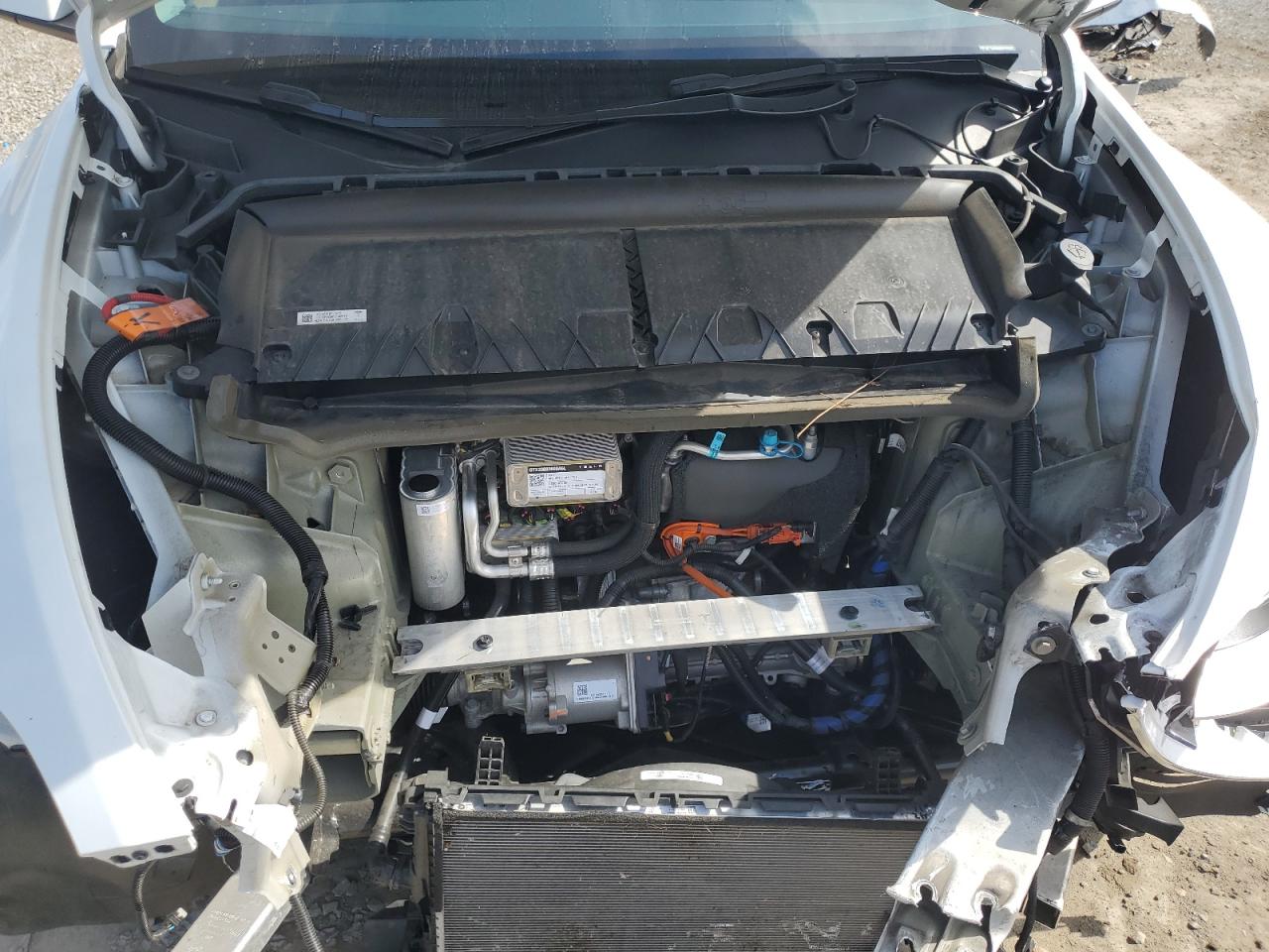 2023 Tesla Model Y VIN: 7SAYGDEE2PA092217 Lot: 69963175