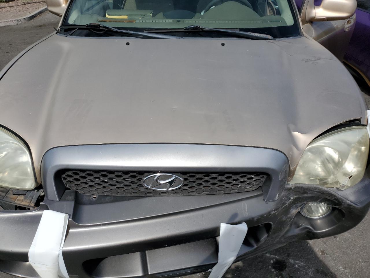 2003 Hyundai Santa Fe Gls VIN: KM8SC13D53U558567 Lot: 70406325