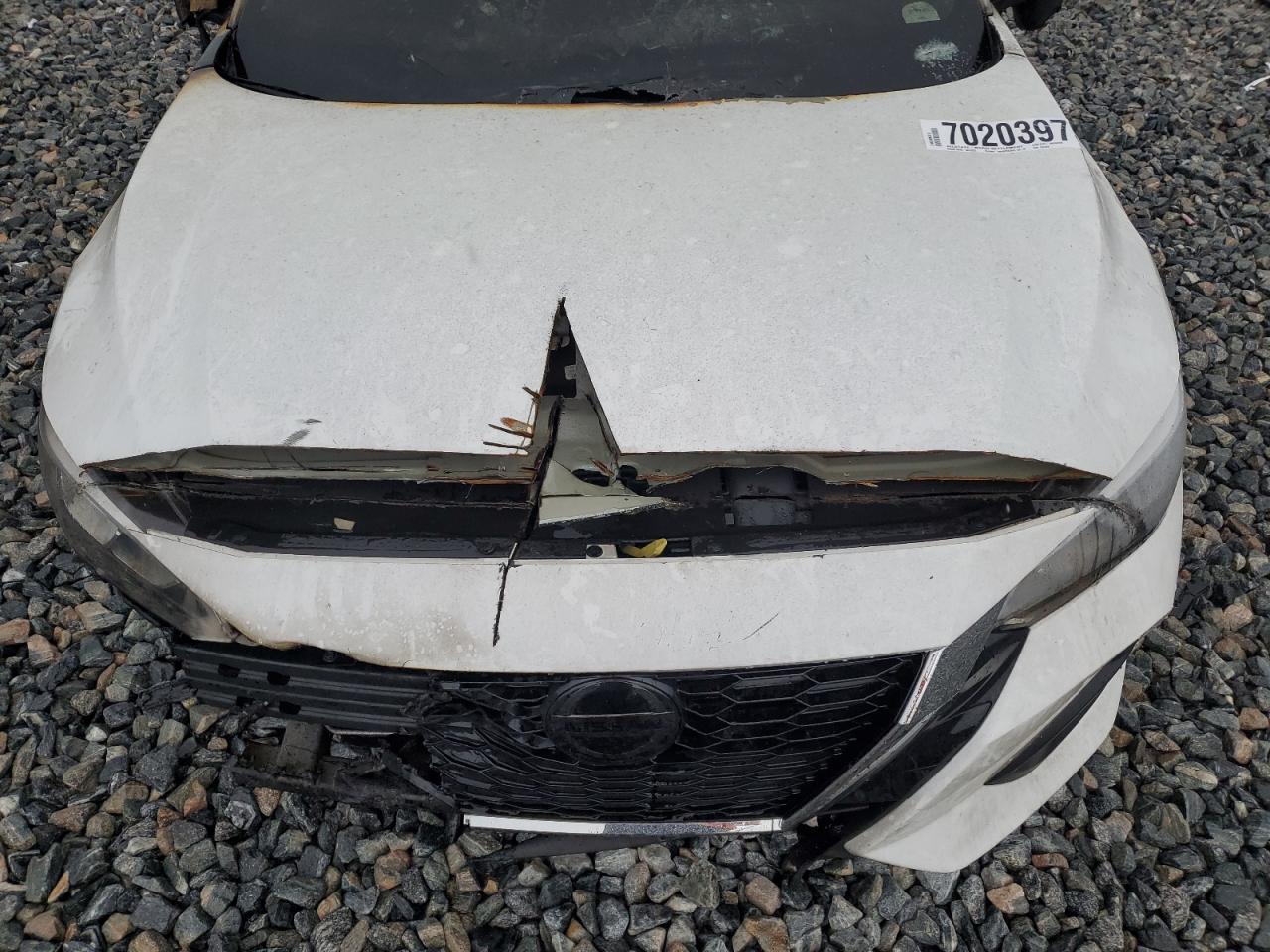 2023 Nissan Sentra Sv VIN: 3N1AB8CV0PY243329 Lot: 70203975