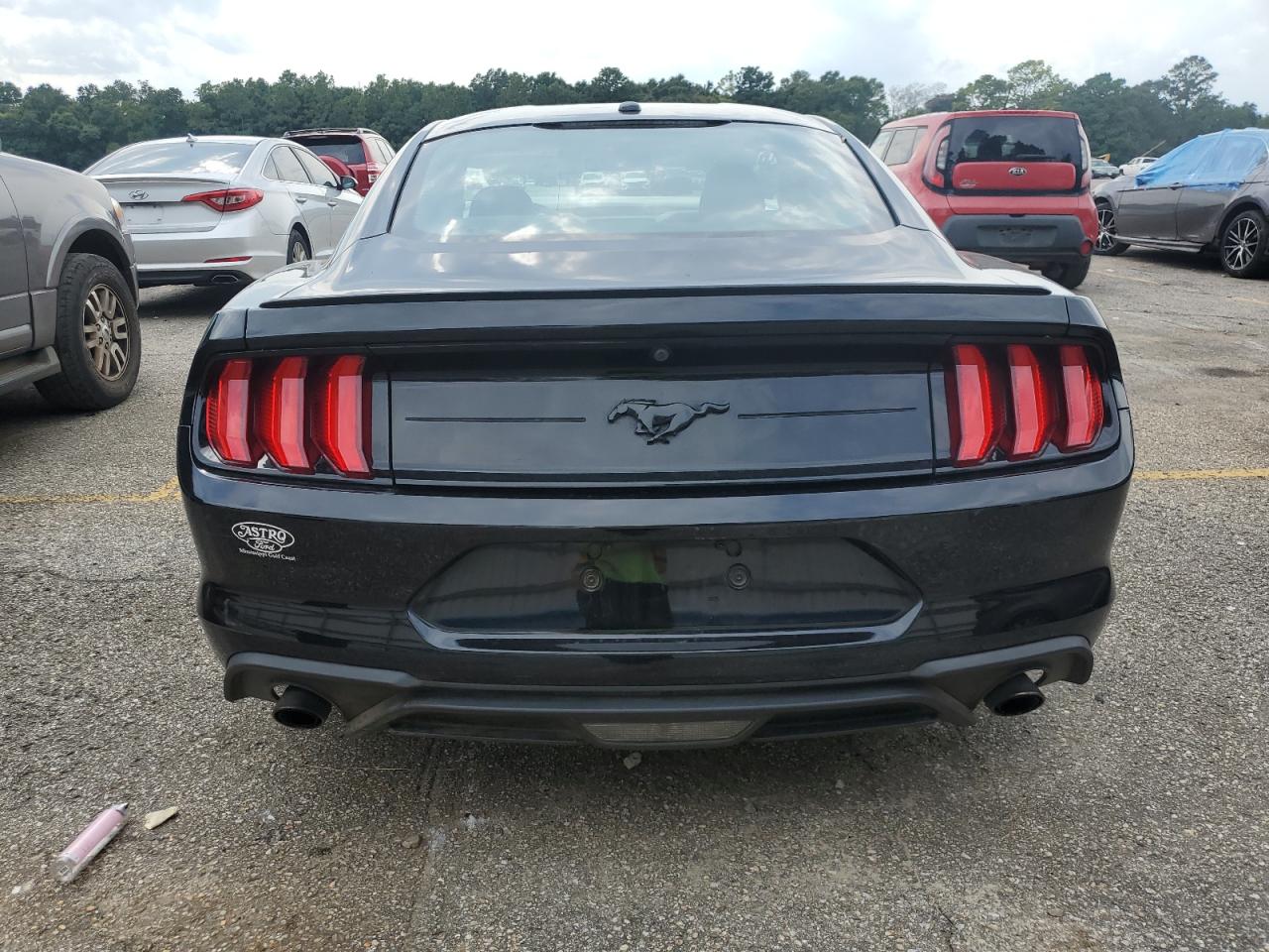 2019 Ford Mustang VIN: 1FA6P8THXK5166835 Lot: 70301455