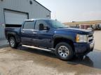2009 CHEVROLET SILVERADO C1500   for sale at Copart ON - TORONTO